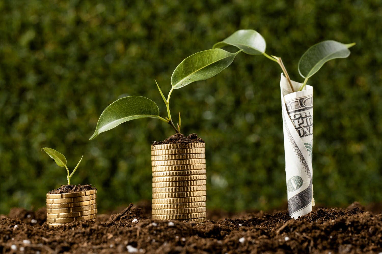 The Secrets to Writing Lawn Care Ads That Get Clicks