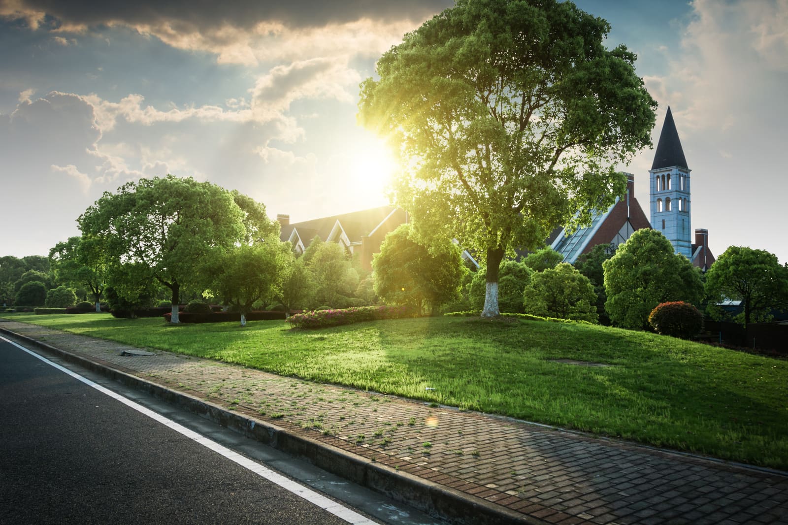 The Role of Design in Building a Professional Image