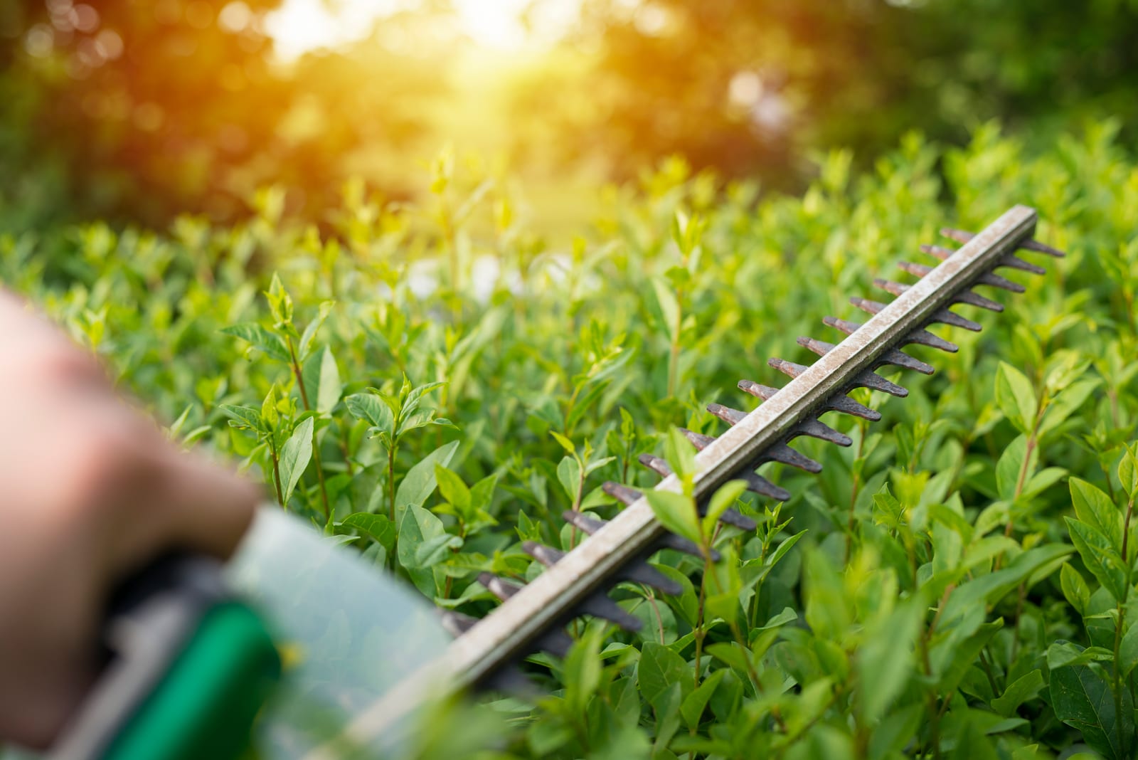 Avoid These Common Software Mistakes for Effective Lawn Care Management