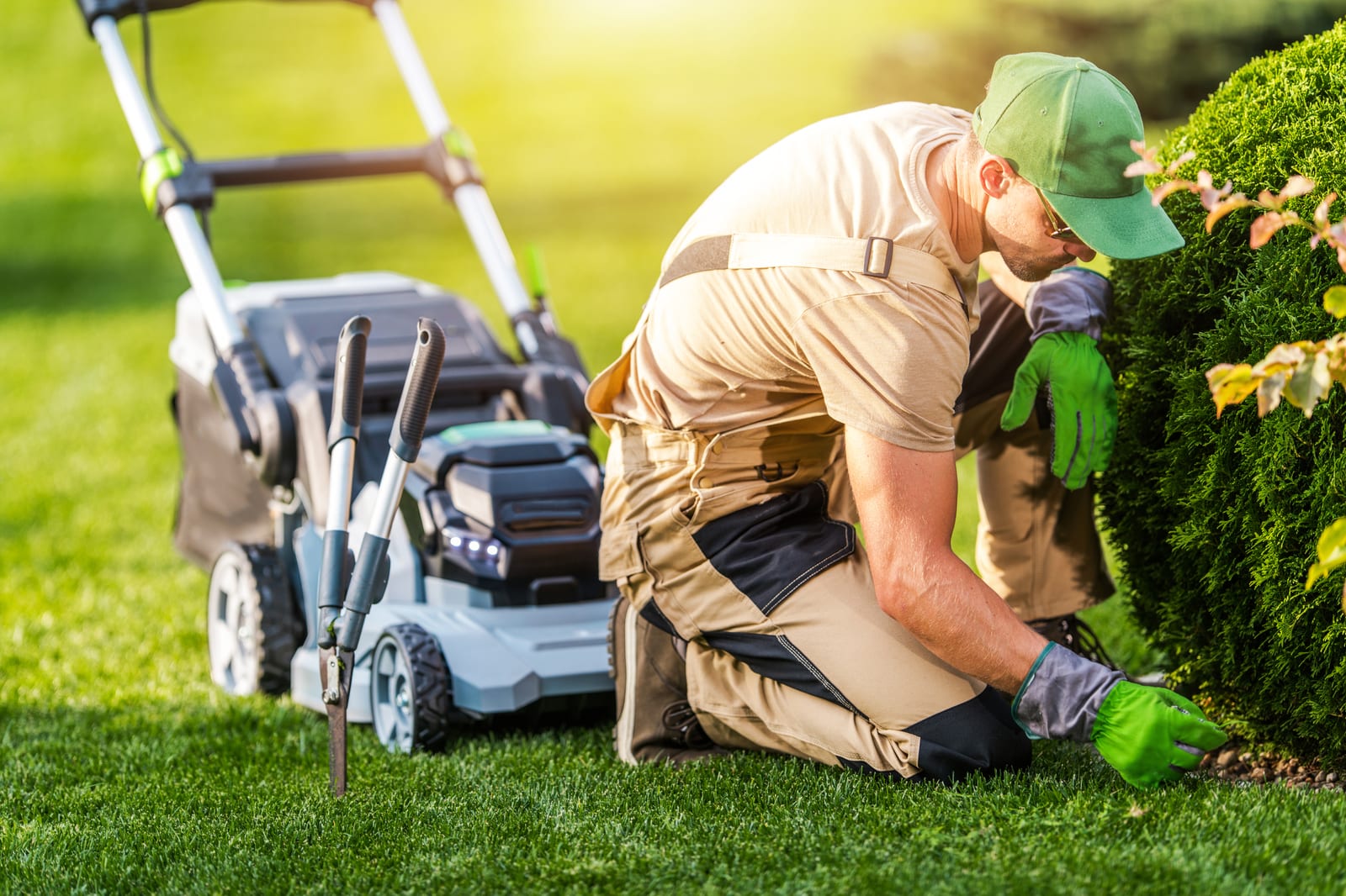 The Ultimate Guide to Optimize Routes for Lawn Services