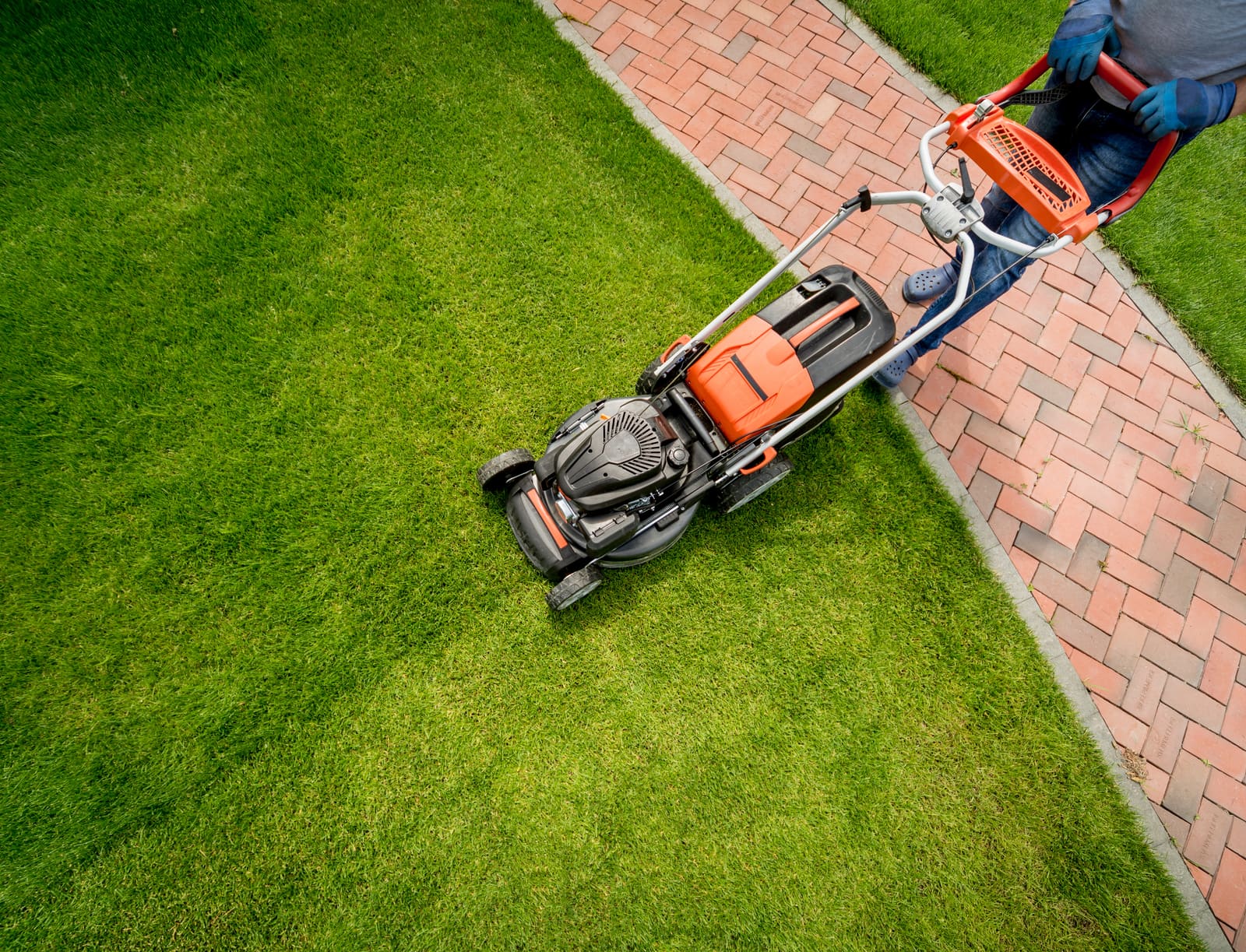 The Best Practices for Financial Reporting in Lawn Care
