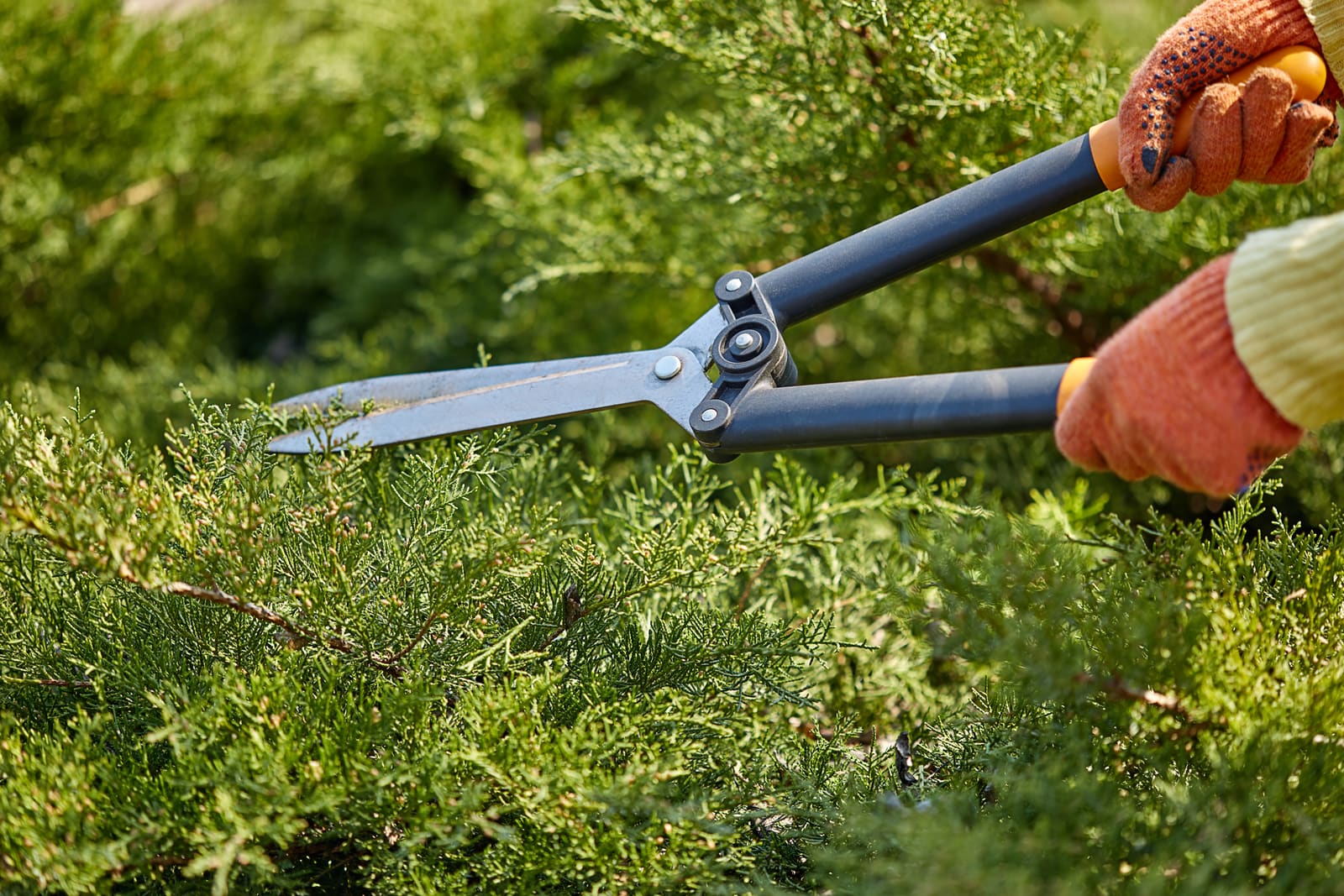 The Top Customer Experience Mistakes Lawn Pros Should Avoid