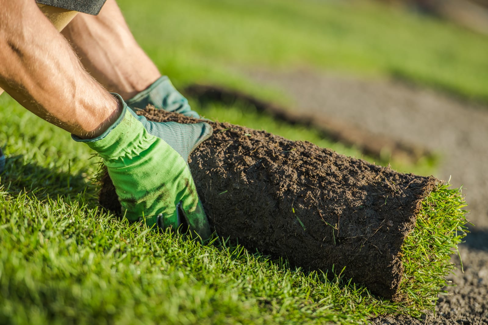 How to Optimize Water Usage for Lawn Care Efficiency