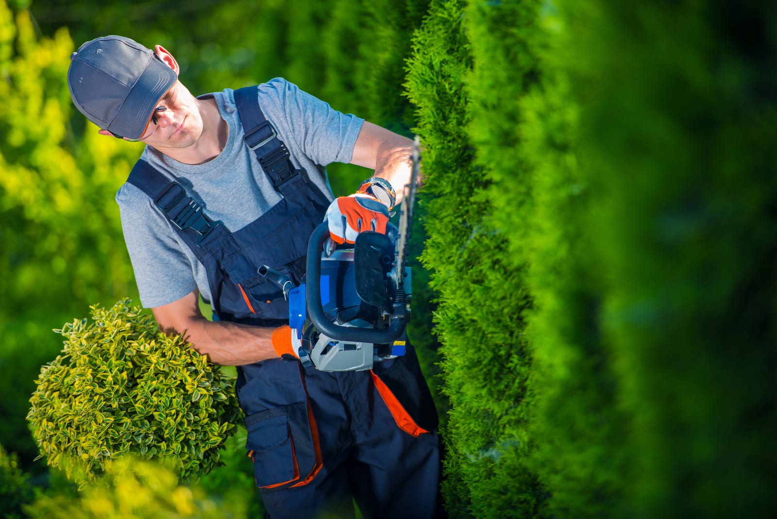 Optimize Routes: Best Practices for Lawn Care Pros