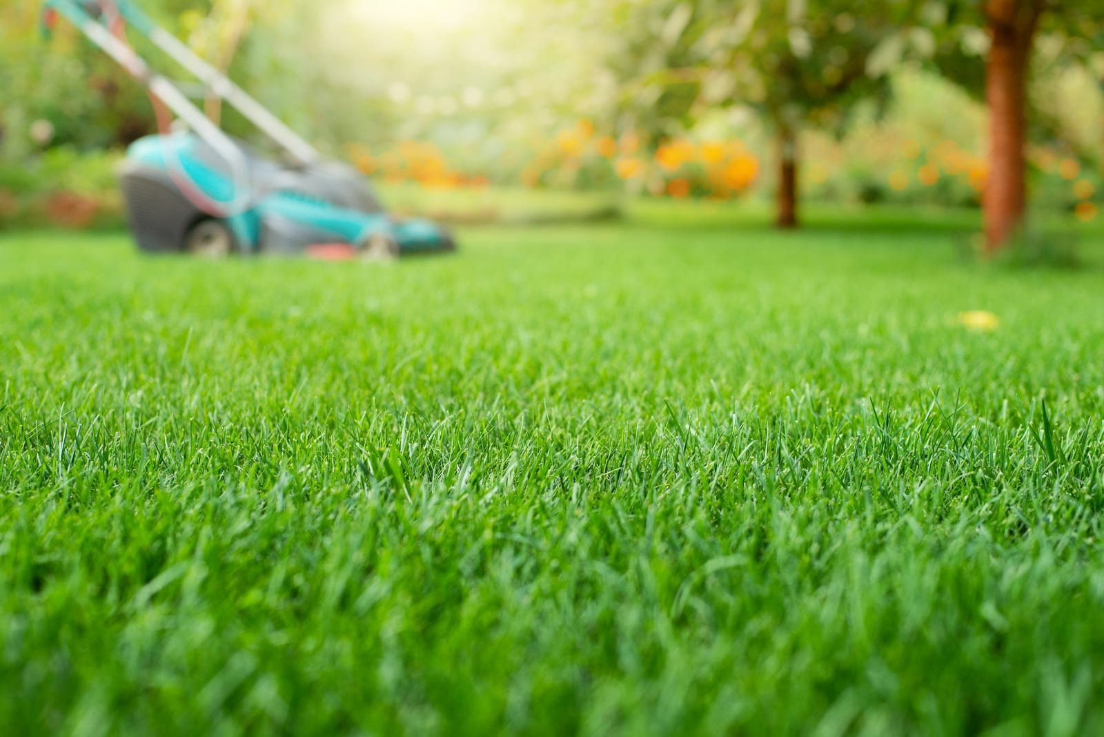 How to Plan Lawn Service Routes for Maximum Efficiency