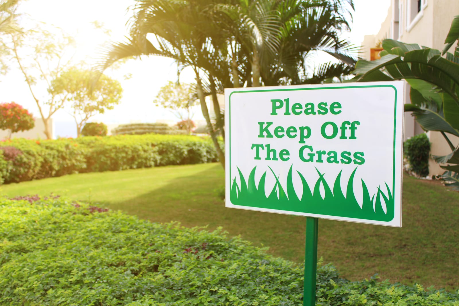Avoid These Common Software Mistakes When Using Lawn Care Billing Solutions