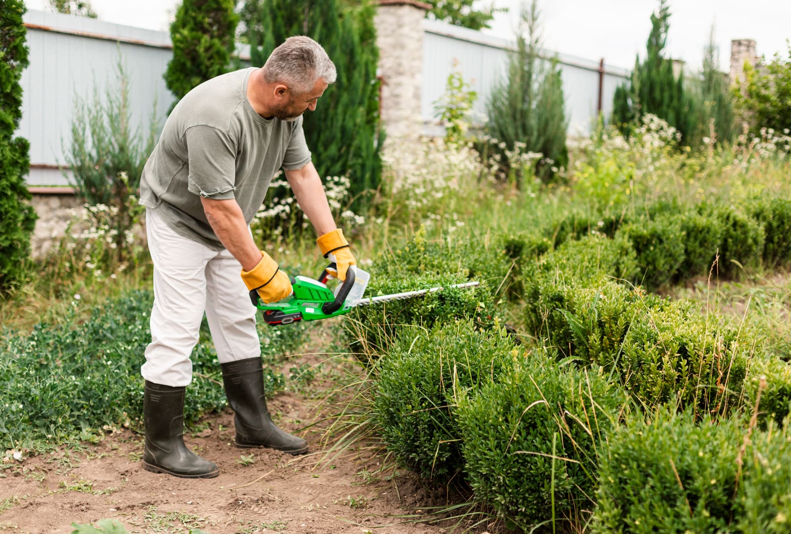 The Ultimate Guide to Use Software Effectively for Lawn Services