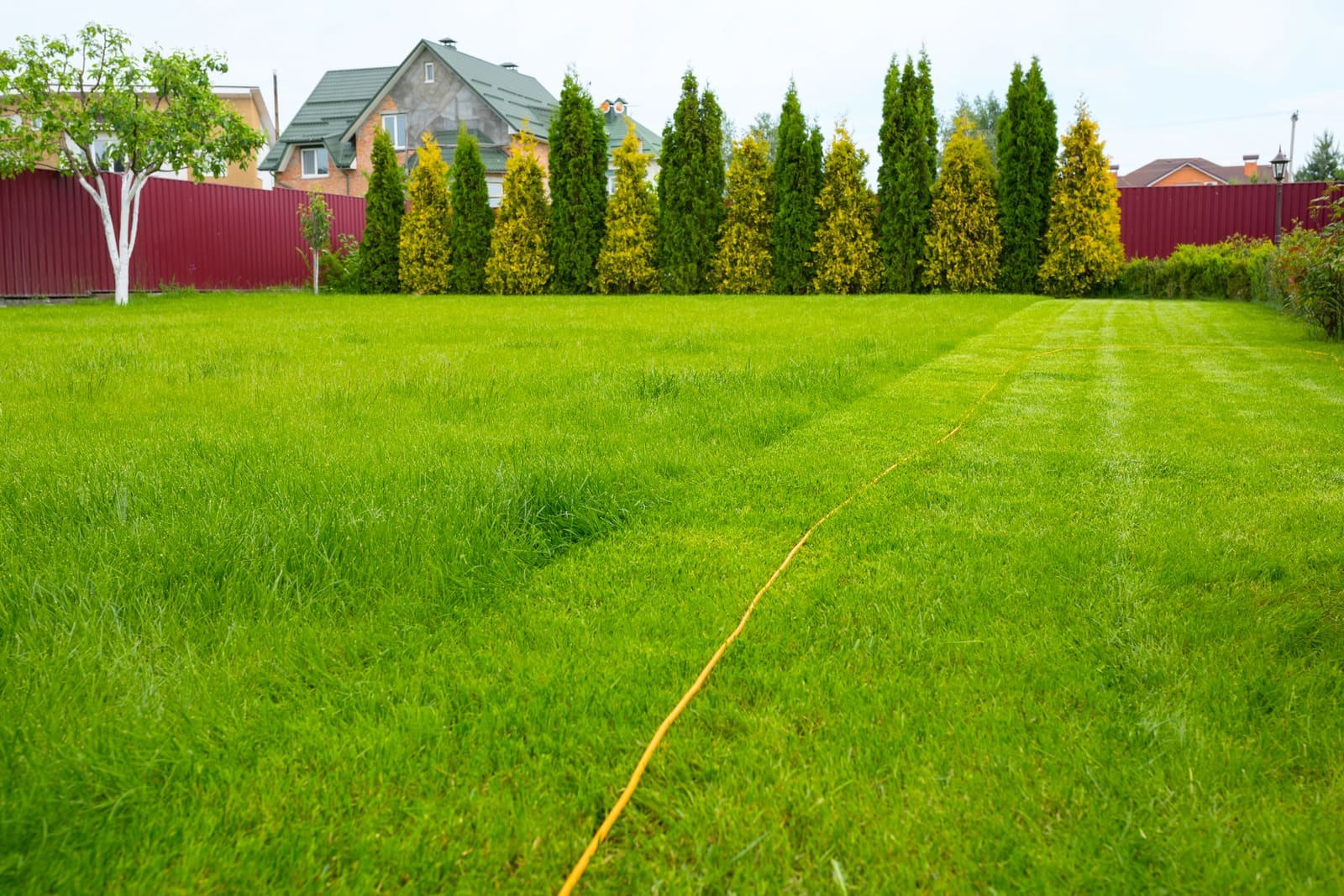How to Keep Up with Changing Industry Regulations
