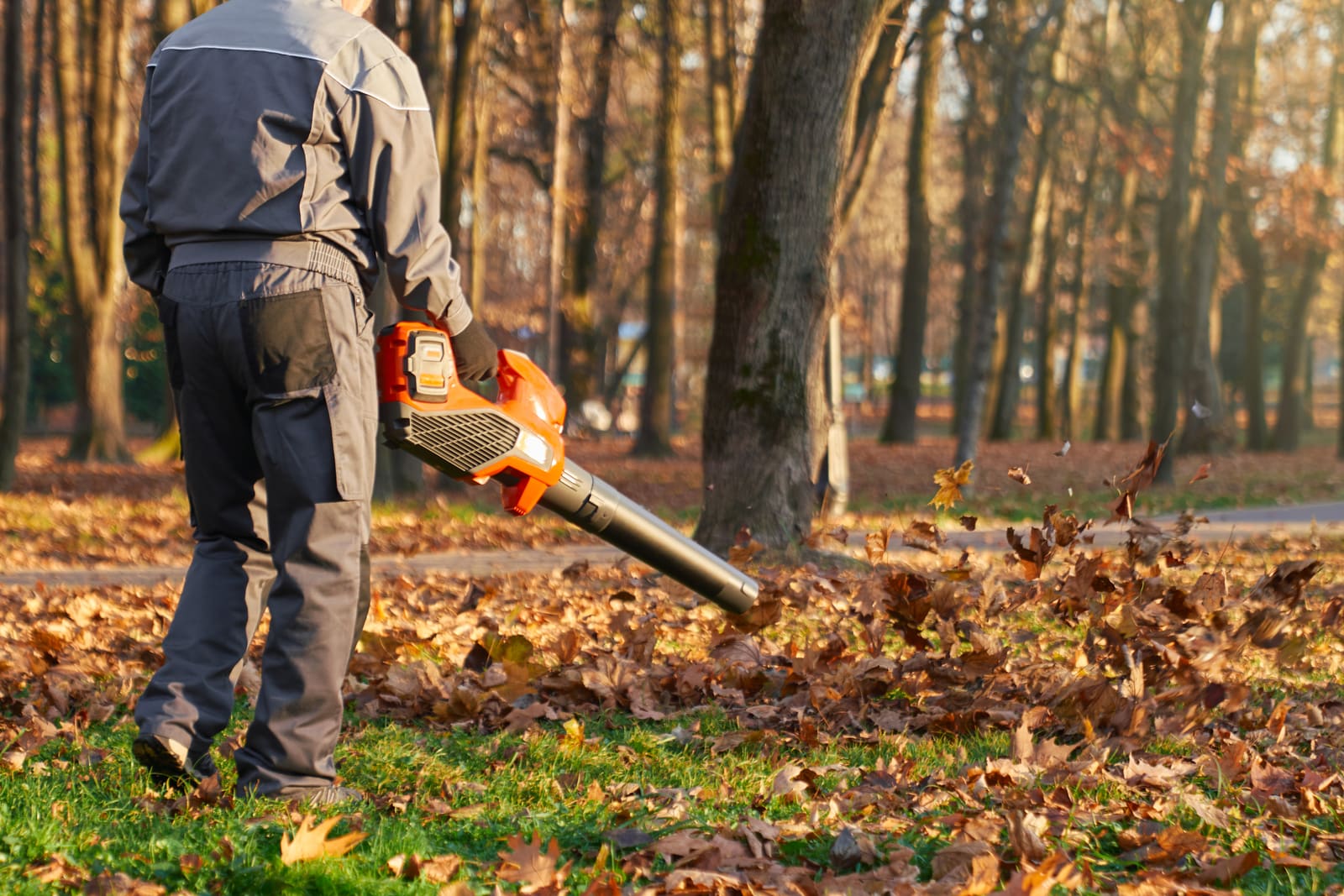 How to Build a Recognizable Lawn Care Brand in Your Community