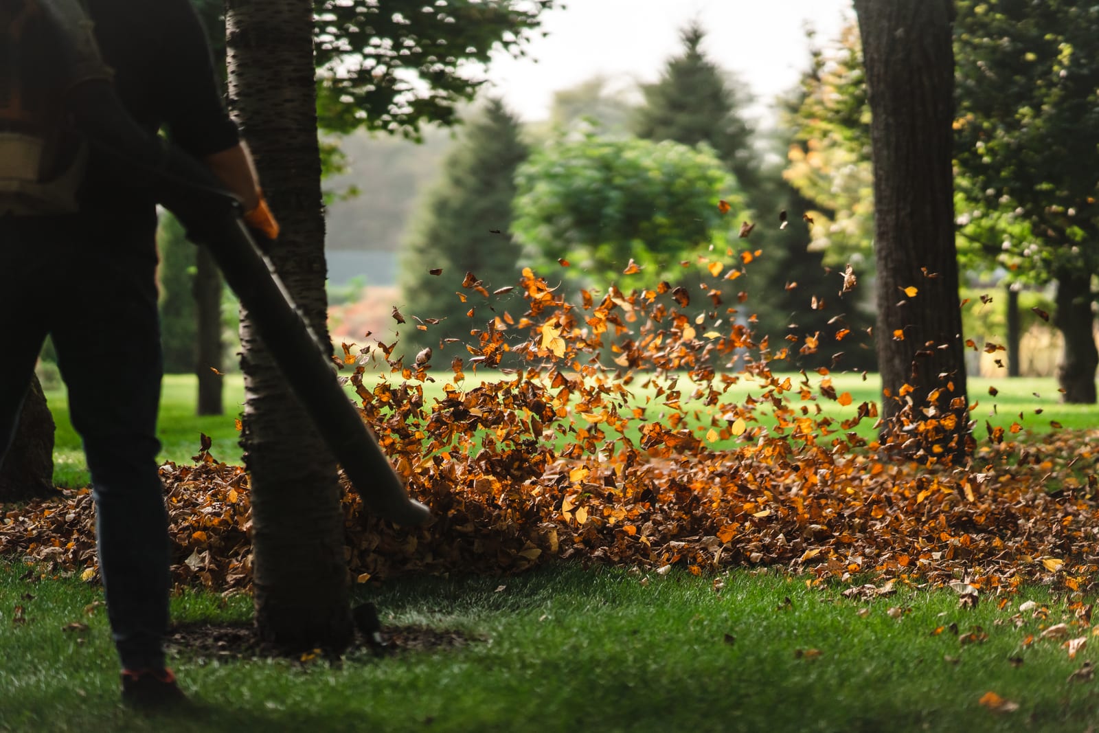 Branding Mistakes Lawn Care Companies Should Avoid