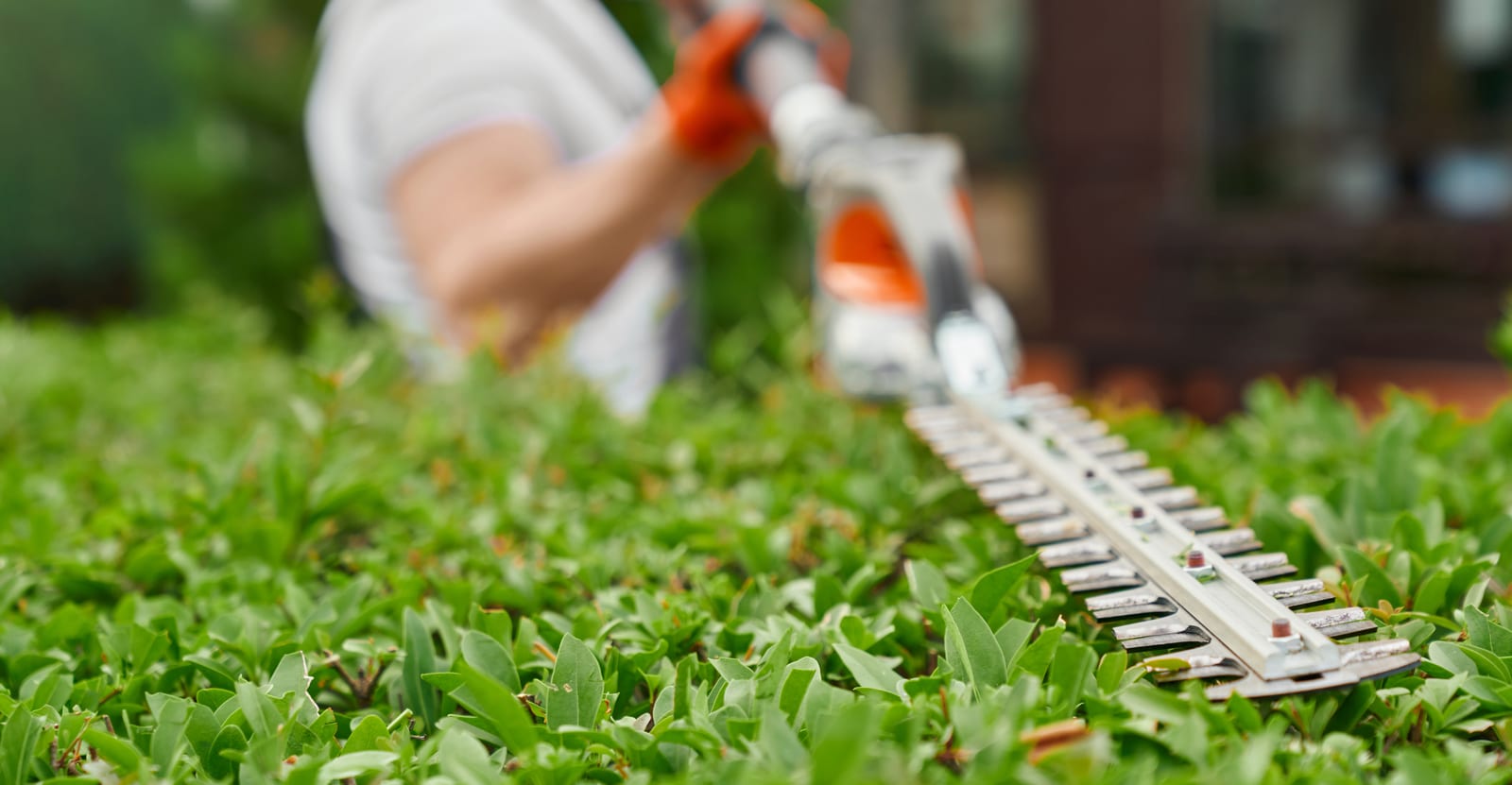 How to Develop a Lawn Care Expansion Strategy