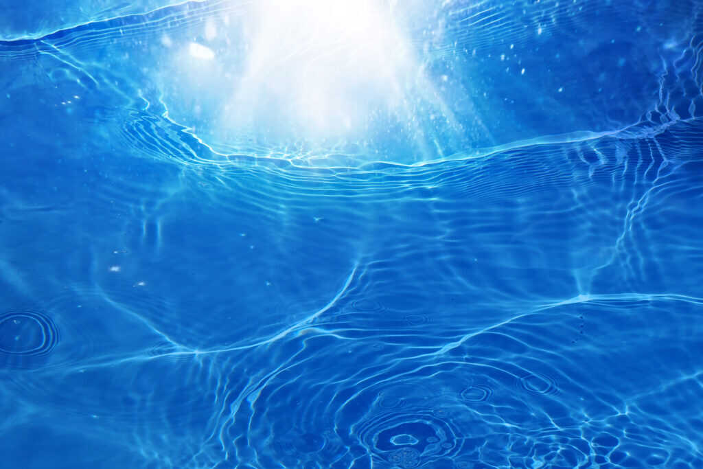 The Importance of Client Education on Sustainability